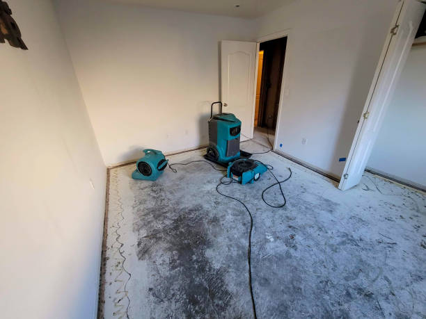 Best Professional water damage repair  in Caldwell, ID