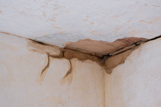 Best Mold removal after water damage  in Caldwell, ID