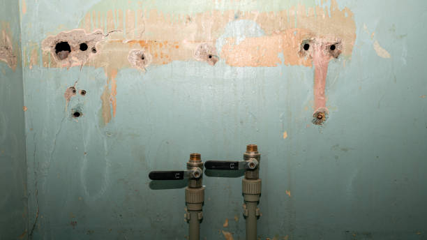 Best Water damage restoration near me  in Caldwell, ID