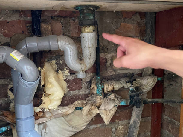 Best Flood damage cleanup  in Caldwell, ID