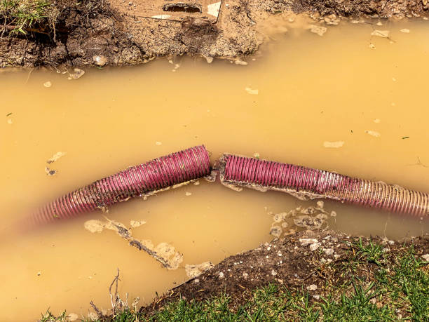 Best Water damage restoration near me  in Caldwell, ID
